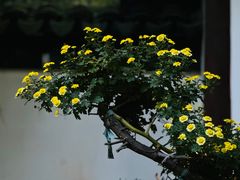 -汇龙潭