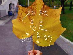 -大宁公园