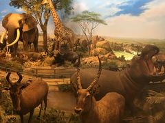 -陕西自然博物馆