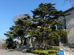 -棒棰岛宾馆景区