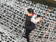 -呀路古热带植物园