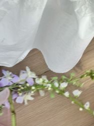 -WAVE SODA摄影工作室