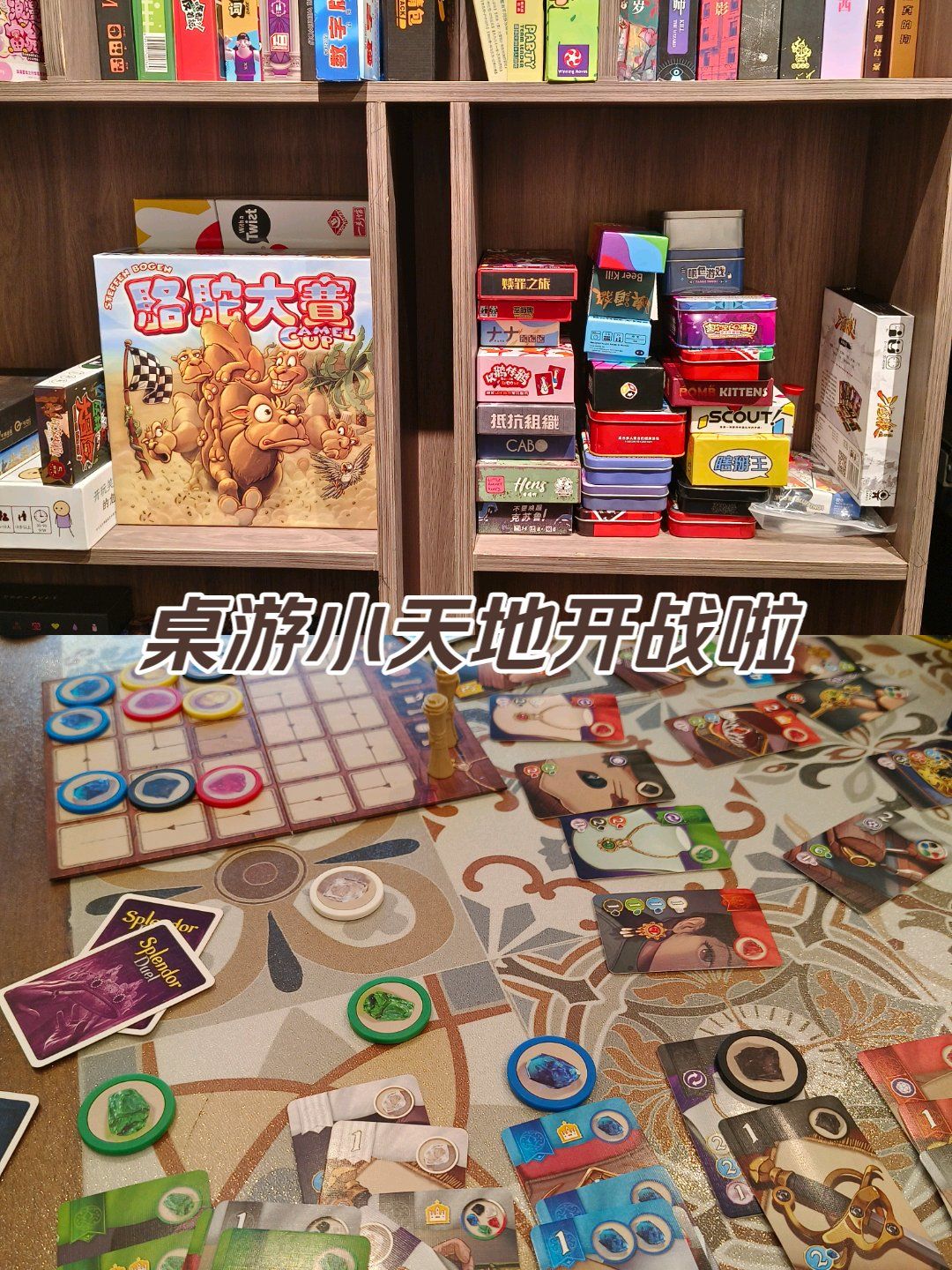 桌游迷的欢乐时光