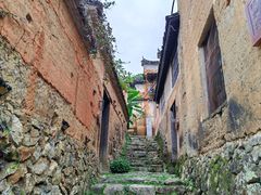 -杨家堂村