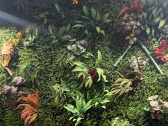 -味之绝热血美蛙鱼火锅(中坝店)