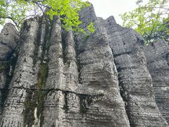 -山王坪喀斯特国家生态公园