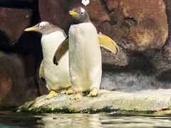 -波塞冬海底世界