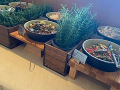 -上海明天广场JW万豪酒店