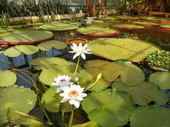 -国家植物园南园