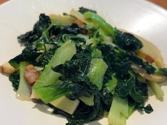 农场黑塌菜竹笋-苏小柳手作点心(控江旭辉分院)
