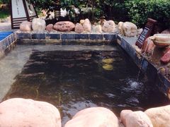 国御温泉度假小镇-国御温泉度假小镇