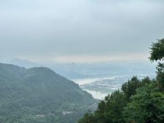 -铁山坪森林公园