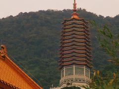 -深圳仙湖植物园