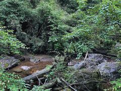 -龙苍沟森林公园