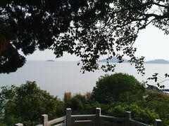 -上海市保健医疗中心