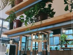 -比格比萨自助(国展店)