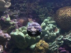 -海合安青岛极地海洋公园