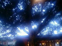 -广东省拱北口岸中国旅行社(华宾营业部)