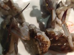 -聚盛源蒸汽海鲜火锅烤肉自助(巨川金海岸购物广场店)