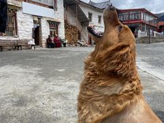 -大藏寺