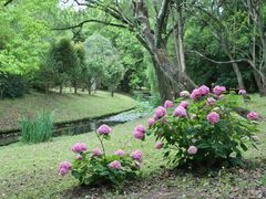 -上海共青森林公园