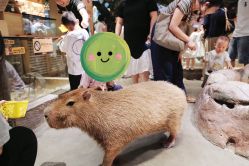 -造物庄园 萌宠纪(苏州湾歌林公园店)