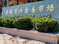 -金陵花卉交易市场