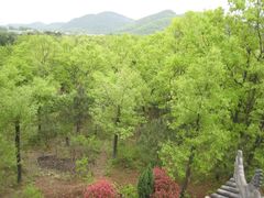 -武侯墓风景区