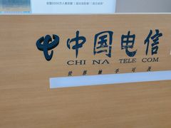 -中国电信(南京东路营业厅)