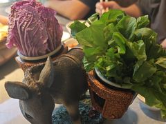 -慢丽江·云南野生菌土鸡锅(付家庄店)