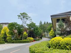 -国信南山温泉
