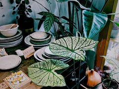 -About Bistro關於·泰式家庭料理