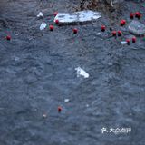 冰封西湖‼️五十年罕见景观‼️高清图美炸‼️附攻略