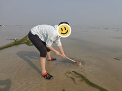 -北海金海湾红树林生态旅游区