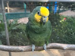 -大连森林动物园