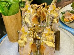 -喜聚薈·花膠雞海鮮火鍋(越秀店)