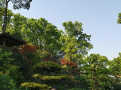 -南山植物园