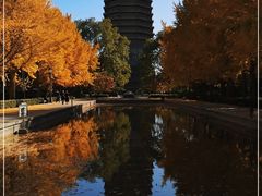 -玲珑塔公园