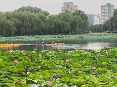 -WhaleSports户外水上运动俱乐部(朝阳公园店)