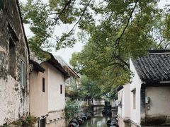 -绍兴鲁迅故里·沈园景区