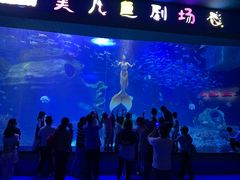 -多彩贵州城极地海洋世界