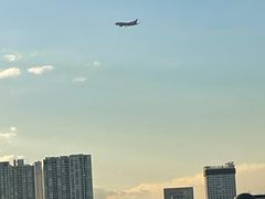 -台场海滨公园船码头