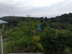 -铁山坪森林公园