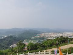 -金山植物公园