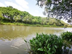 -新江湾城公园