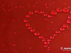 android_upload_pic-珠海尊车汇龙膜精英店