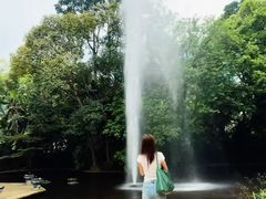 -九龙公园