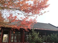 -堤角公园