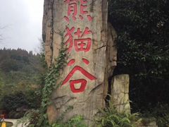 -都江堰中华大熊猫苑