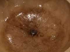 -云中鱼蒸汽石锅鱼(川沙百联店)